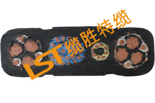 行車起重機(jī)電纜 行車起重機(jī)電纜